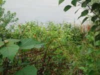 DSC07370