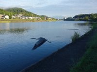 DSC07408