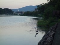 DSC07435