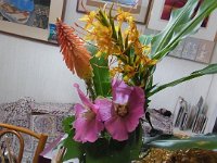 RIMG0755