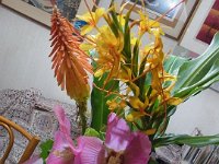 RIMG0758