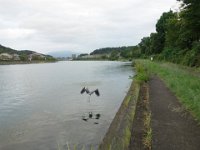 DSC07451