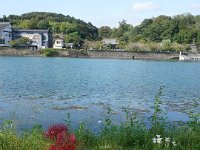DSC07528