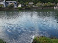DSC07569