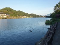 DSC07590