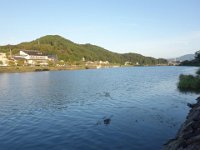 DSC07591