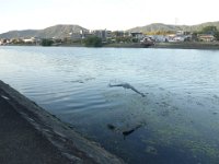 DSC07740