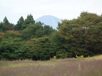 DSC07762