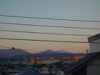DSC07795