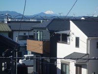 DSC07808