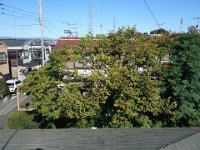 DSC07810