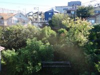 DSC07812