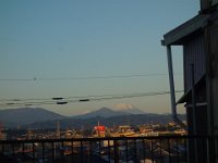 DSC07835