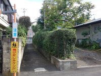 DSC07910