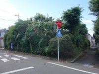 DSC07912