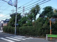 DSC07913