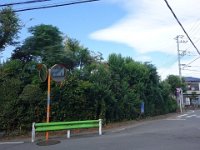 DSC07914