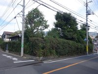 DSC07915