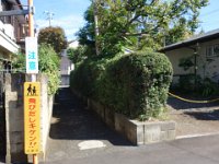 DSC07918
