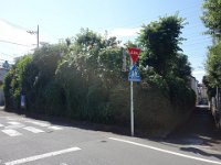 DSC07920