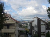 DSC07927