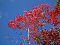 DSC08087