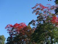 DSC08097