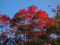 DSC08099