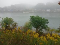 DSC08117