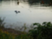 DSC08191