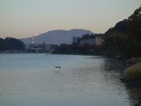 DSC08339