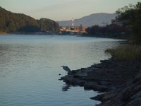 DSC08347