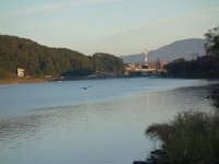 DSC08351