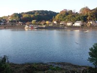 DSC08354