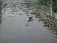 DSC08358