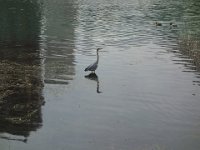 DSC08359