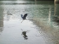DSC08360