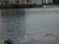 DSC08371