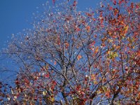 DSC08428