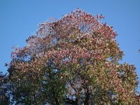DSC08432