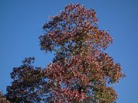DSC08434