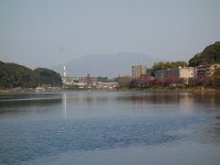 DSC08494