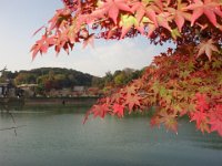 DSC08509
