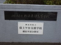 DSC08525