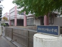DSC08534