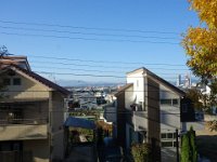 DSC08552
