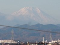 RIMG0768
