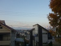 DSC08561