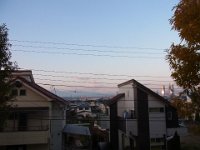 RIMG0783