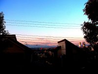 RIMG0783X